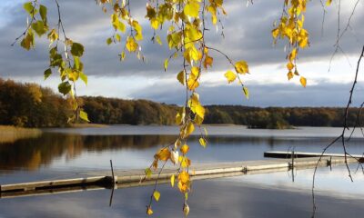 sweden, bathing jetty, autumnal